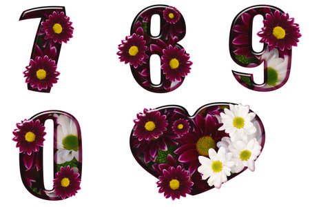 Floral numbers made from different colors of flowersの写真素材