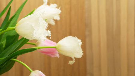 Spring flowers and natural wooden background.の写真素材
