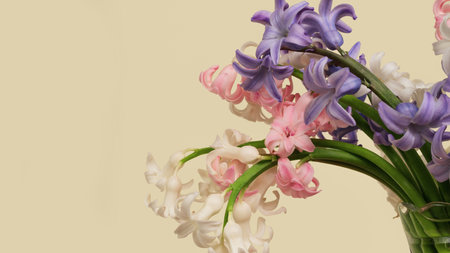 Spring hyacinth flowers in a vase with a plain background.の写真素材