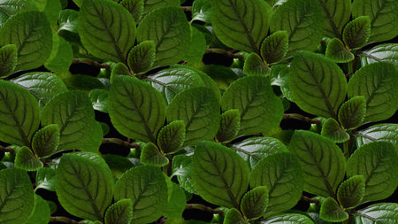 Green leaves pattern background, Natural background and wallpaperの写真素材