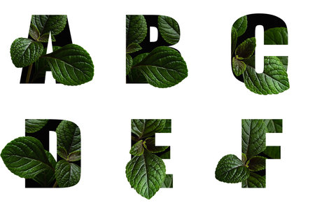 Letters A B C D E F with leaves in text alphabetの写真素材