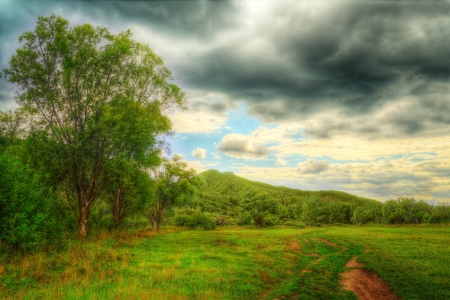 HDR image of the dirt road through the field with trees to the mountain  Russia, Altay Republic, Turochak village の写真素材