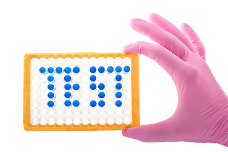 Hand in glove keeps plate for immunosorbent assay isolated on white  backgroundの写真素材