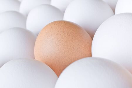 Background with many white and one brown fresh chicken eggの写真素材