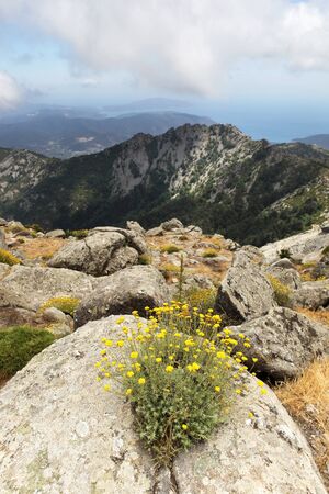 Mountains cliffs, beautiful landscape, Elba Island, Italyの写真素材