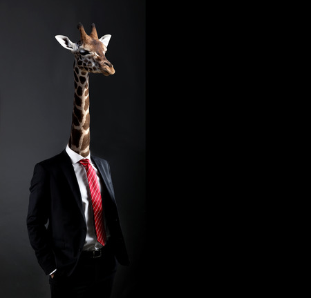 Business concept with businessman with head of Giraffeの写真素材