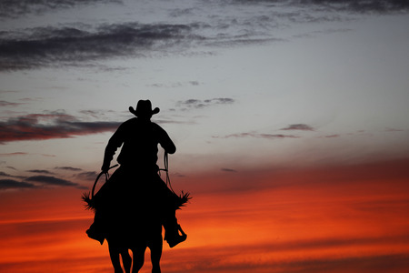 Cowboy silhouette on a horse during nice sunsetの写真素材