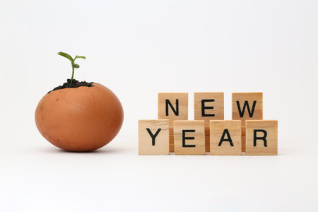 New year concept with an egg and wooden blocks with the word NEW YEAR
