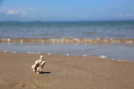 Selective focus on coral still macro with blurred sea background