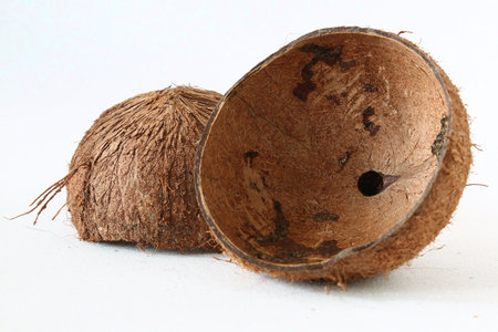 Coconut shell on a white background, close-up, macroの写真素材