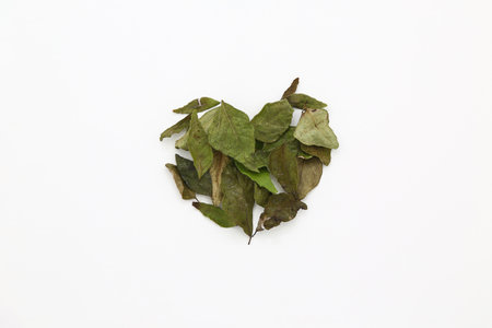 Dried leaves in the shape of a heart on a white background, top view.
