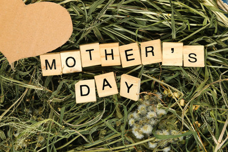 The word "MOTHER'S DAY" in wooden tiles with a grass background.の写真素材