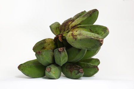 Bunch of green bananas isolated on white background. Close up.の写真素材