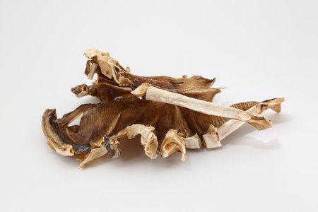 Dried stingray from the Dasyatidae family on white backgroundの写真素材