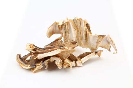 Dried stingray from the Dasyatidae family on white backgroundの写真素材