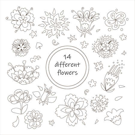 14 Fantastic Flowers. Funny Variouse for Cute Design. Hand Drawn Black Line.のイラスト素材
