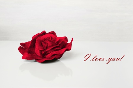 A red velvet rose with the writing  I Love You in the grey backgroundの写真素材