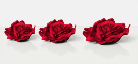 Three red velvet roses in the white backgroundの写真素材