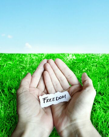 Piece of torn paper with the inscription "freedom" on the palms of the hands with grass and sky as backgroundの写真素材