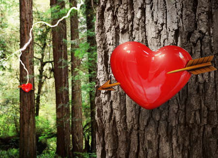 Hearts on trees in a forest with a bolt of lighting strikes の写真素材
