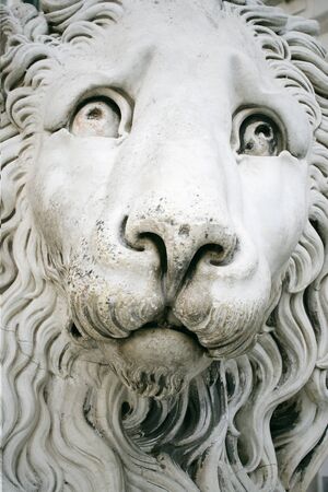 Close up of a beautiful expressive face of a lion sculpture