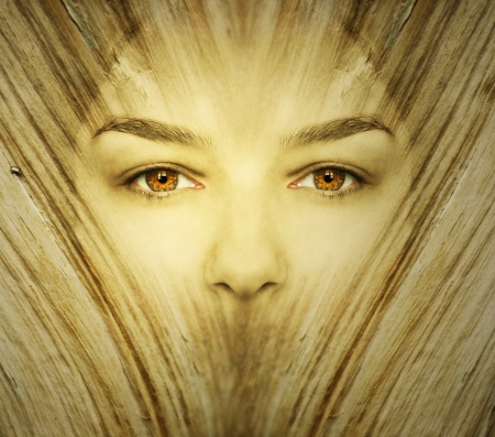 Fantasy background represent a face woman undergoes a transformation in wood in golden colorの写真素材