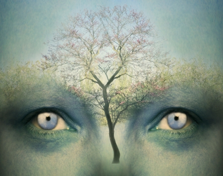 Beautiful artistic fantasy background representing a two human eyes and a tree の写真素材
