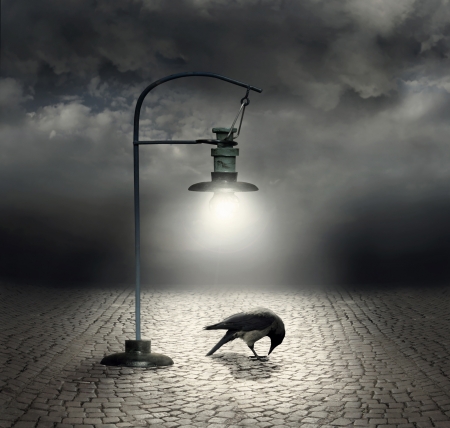 Beautiful artistic image with a streetlight that  illuminates a crow and cobblestones with a dark and cloudy sky on the backgroundの写真素材