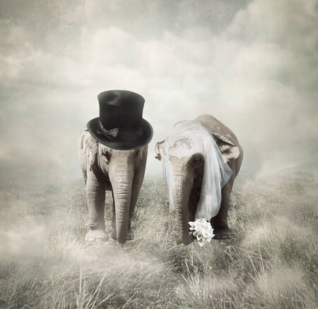 Elephants that who are getting married in Twenties styleの写真素材