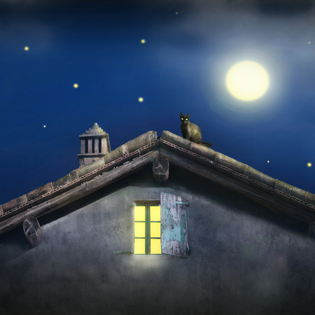 Illustrative detail of a roof with chimney, window and a black cat at night with moon and starsの写真素材