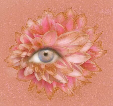 Illustrative image of a human eye with many petals and texturesの写真素材