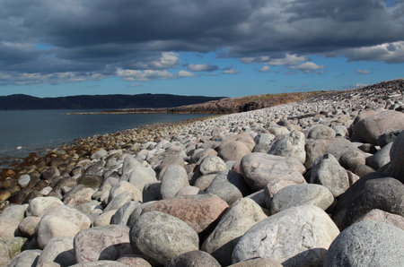 Pebble beach on the coast of the Barents sea