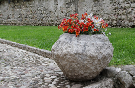 Flowers in a stone pot in front of the old stone wall.の写真素材