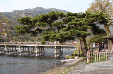 Unidentified people on the wooden bridge over the Arashiyama river in Kamakura, Japan.の写真素材