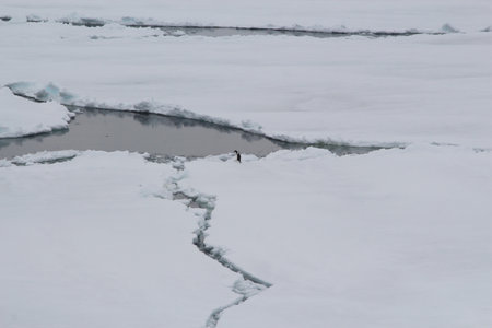 Cracks in the ice on the water surface of the Arctic ocean.