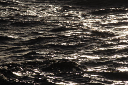 Photo Picture of the Beautiful Ocean Water Surface Texture Background Pattern with Small Wavesの写真素材