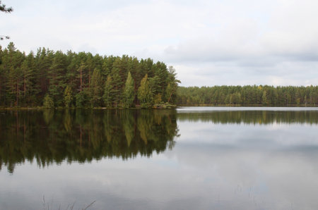 Lake in the forest with reflectionsの写真素材