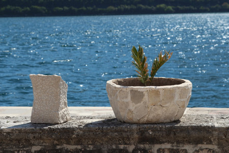 A small plant in a ceramic pot on the background of the seaの写真素材
