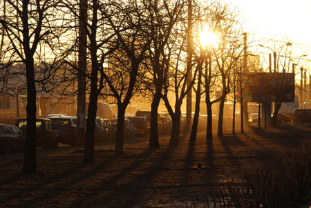 Sunset on the street in the early spring in the city.の写真素材