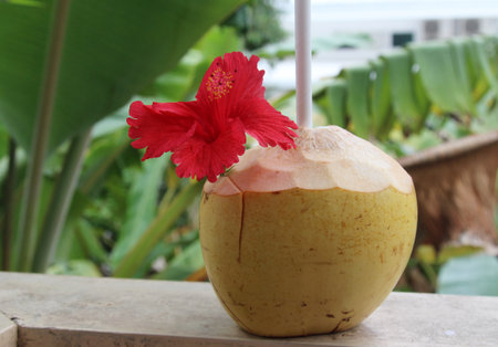 Coconut with red hibiscus flower in the gardenの写真素材