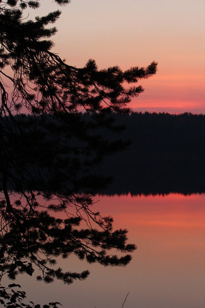 Beautiful sunset over the lake with silhouette of trees in the foregroundの写真素材