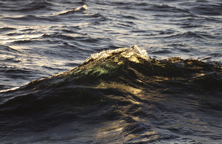 Sea waves with splashes and ripples close-up at sunset
