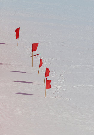 Red warning flags on the snow in winter, closeupの写真素材