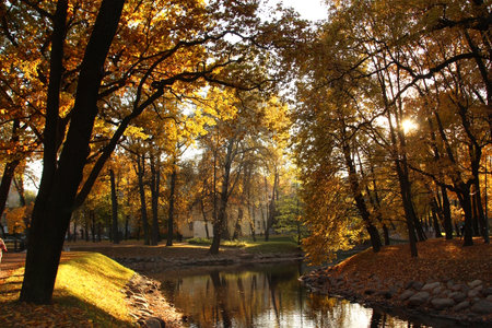 Autumn landscape with a pond in the park, St. Petersburg, Russiaの写真素材