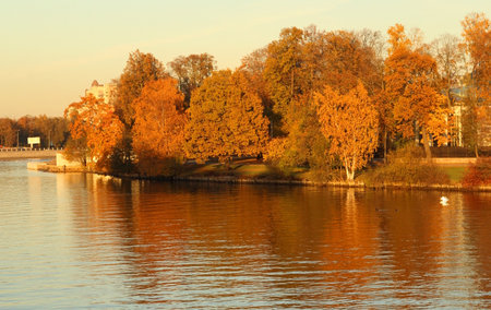 Autumn landscape with lake and trees in the city park at sunsetの写真素材
