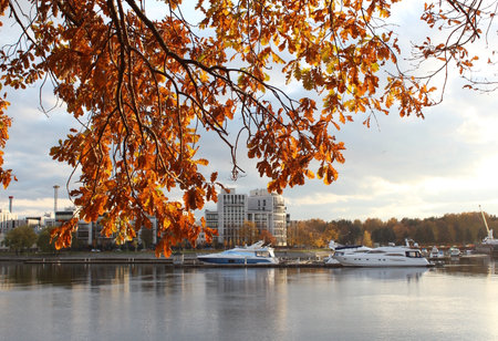 Autumn view of the embankment of the Moscow river.の写真素材