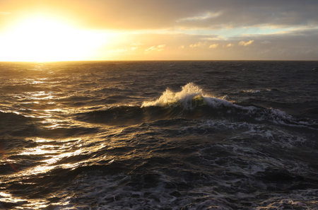 Stormy sea at sunset. Waves, splashes, foam against the background of the setting sunの写真素材