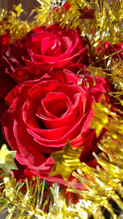 Christmas decoration Red natural roses and golden garland with starsの写真素材