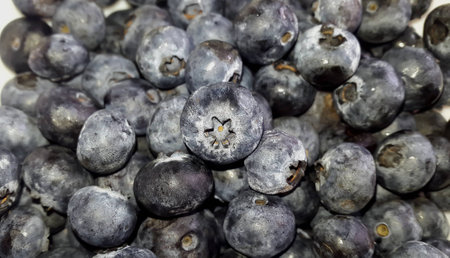 Bunch of freshly picked blueberries - close up shotの写真素材