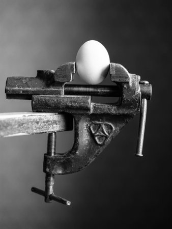 manufacture of ideal forms in the form of eggsの写真素材